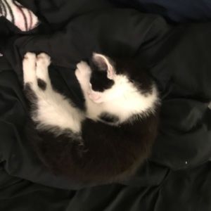 Meet your Posher, Grace